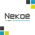 Partenaire Nekoé